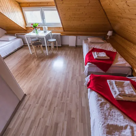 Guest house Nika 3*