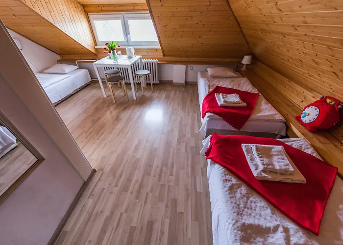 Guest house Nika 3*