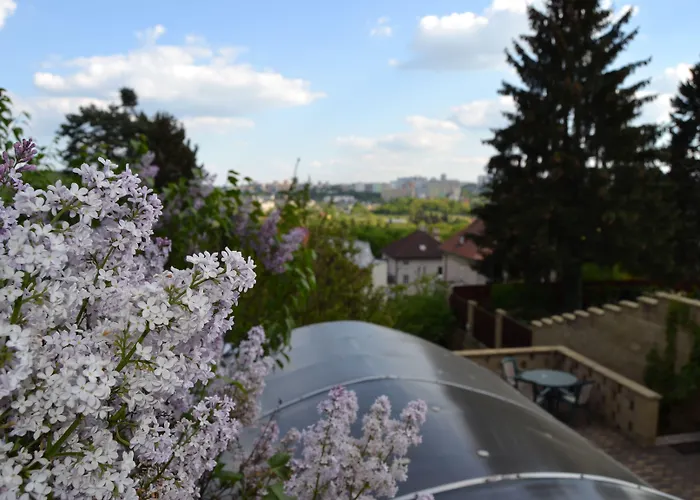 Nika Guest house 3*
