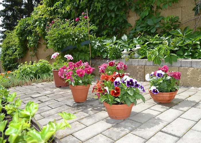 Guest house Nika Prague