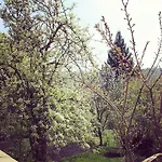 Nika Πράγα